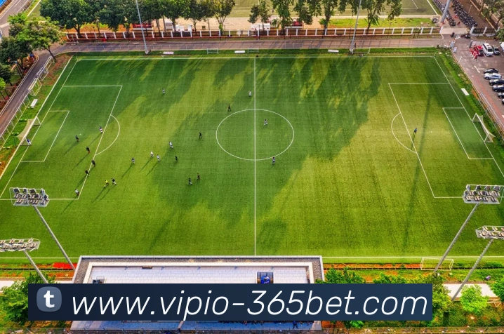 365bet平台生态图